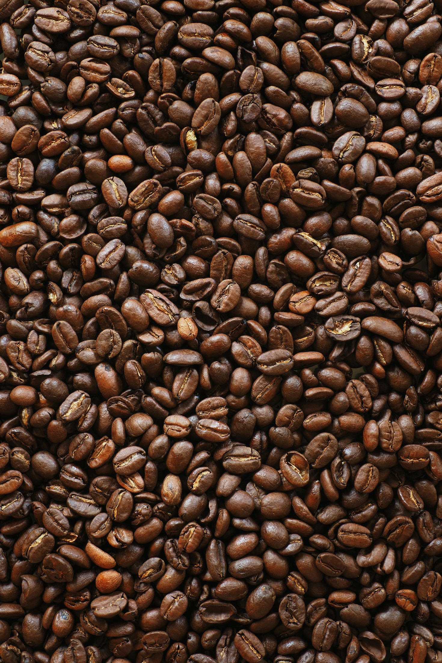 Los beneficios del café orgánico para la salud