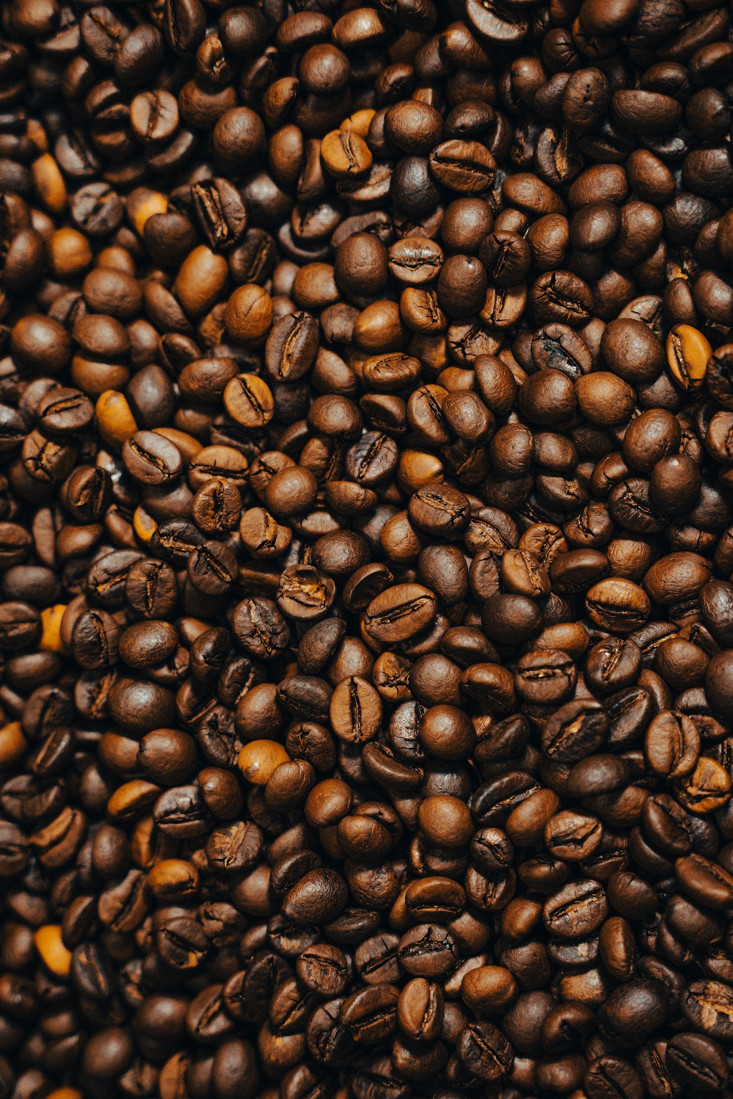 Café Don Cerro: compromiso con la calidad