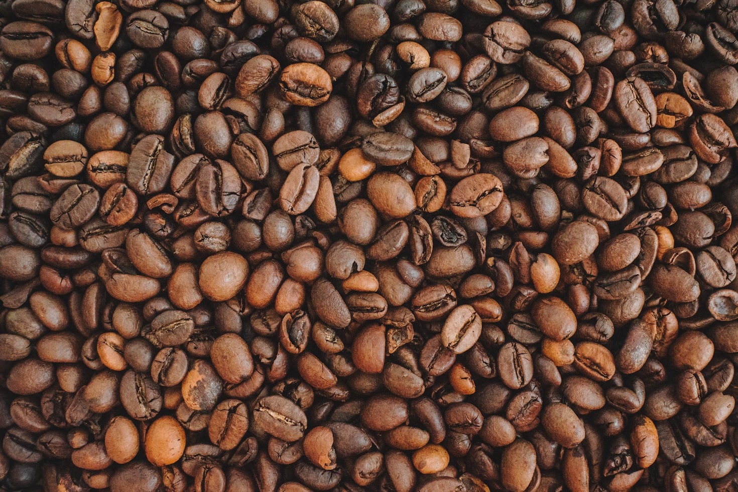 Las diferencias entre café molido y en grano